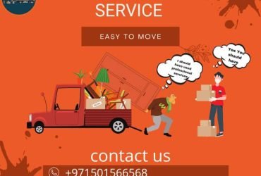 0501566568 International Movers in Dubai BlueBox Movers