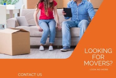 0501566568 BlueBox Movers in JVT ,Apartment,Villa,Office Move with Close Truck