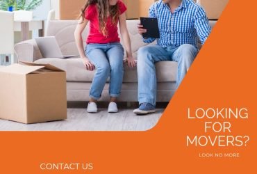 0501566568 BlueBox Movers in JVC ,Apartment,Villa,Office Move with Close Truck