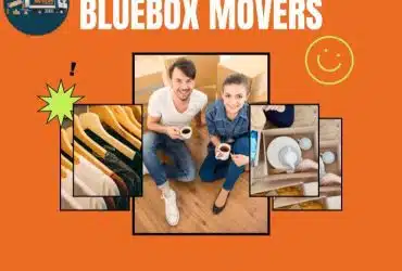 0501566568 BlueBox Movers in Dubai Knowledge Village Home|Office move with close Truck