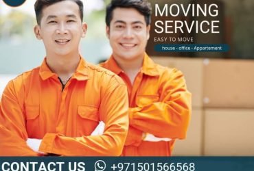 Movers in Palm Jumeirah Dubai 0501566568 , BlueBox Movers , Home , Office , Villa Movers in Dubai