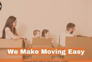 0501566568 BlueBox Movers in Dubai Downtown ,Apartment,Villa,Office Move with Close Truck