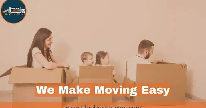 0501566568 BlueBox Movers in Dubai Downtown ,Apartment,Villa,Office Move with Close Truck