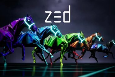 Develop your own NFT game-Zed Run Clone