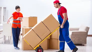 Movers and Packers in Dubai South