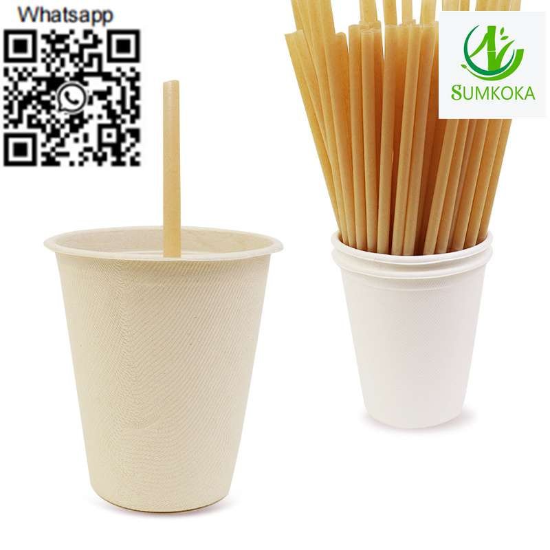 Glass straws straws bamboo paper straw bagasse drinking straw sugarcane straw