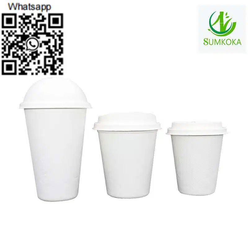 Cup disposable cup bagasse cup coffee cup