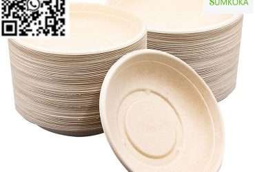 Bowl disposable bowl bagasse bowl salad bowl