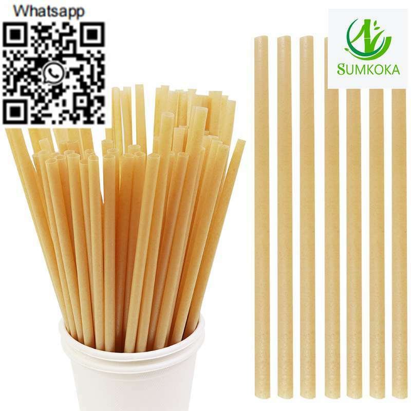 Glass straws straws bamboo paper straw bagasse drinking straw sugarcane straw