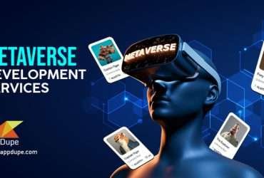 Substantial services provided by Metaverse development company