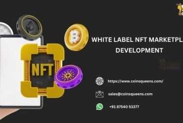 White label NFT marketplace development