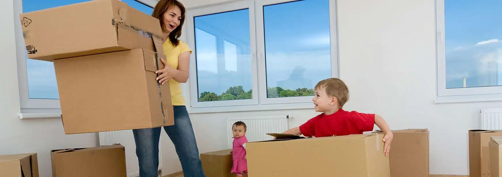 Domestic and Local Furniture Movers