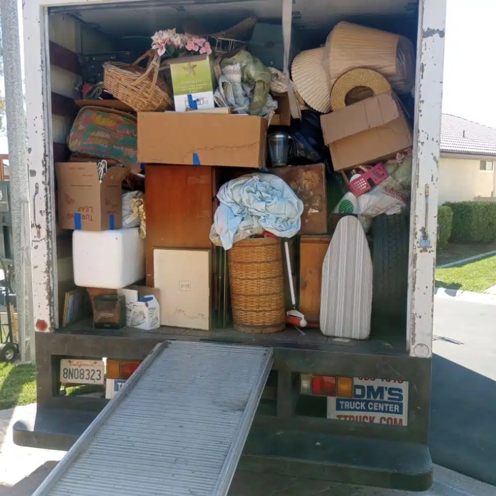 Junk Collection In The Meadows 0527161730