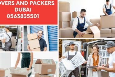 Movers and packers in Dubai