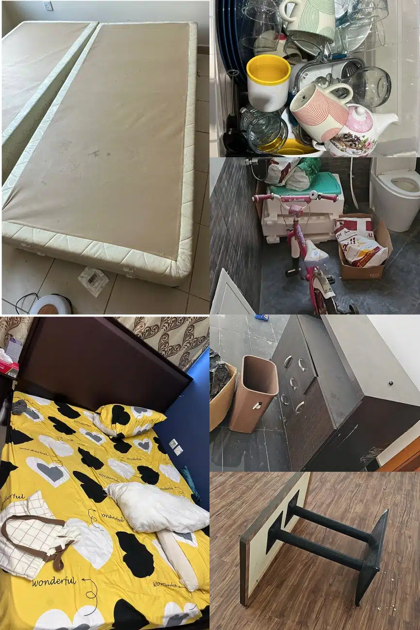 Garden west removal dubai