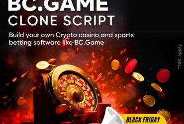 Create Your Own Crypto Casino with DappsFirm's BC.Game Clone Script