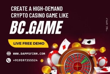 How To Create A Crypto Casino Game Like BC.Game at Unbeatable Price