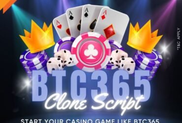 Elevate Your Crypto Casino Game with BTC365 Clone Script