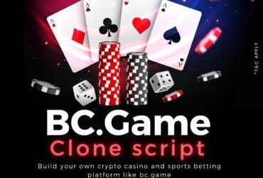 Black Friday Bonanza: Save Big on BC.Game Casino Clone Script at Dappsfirm