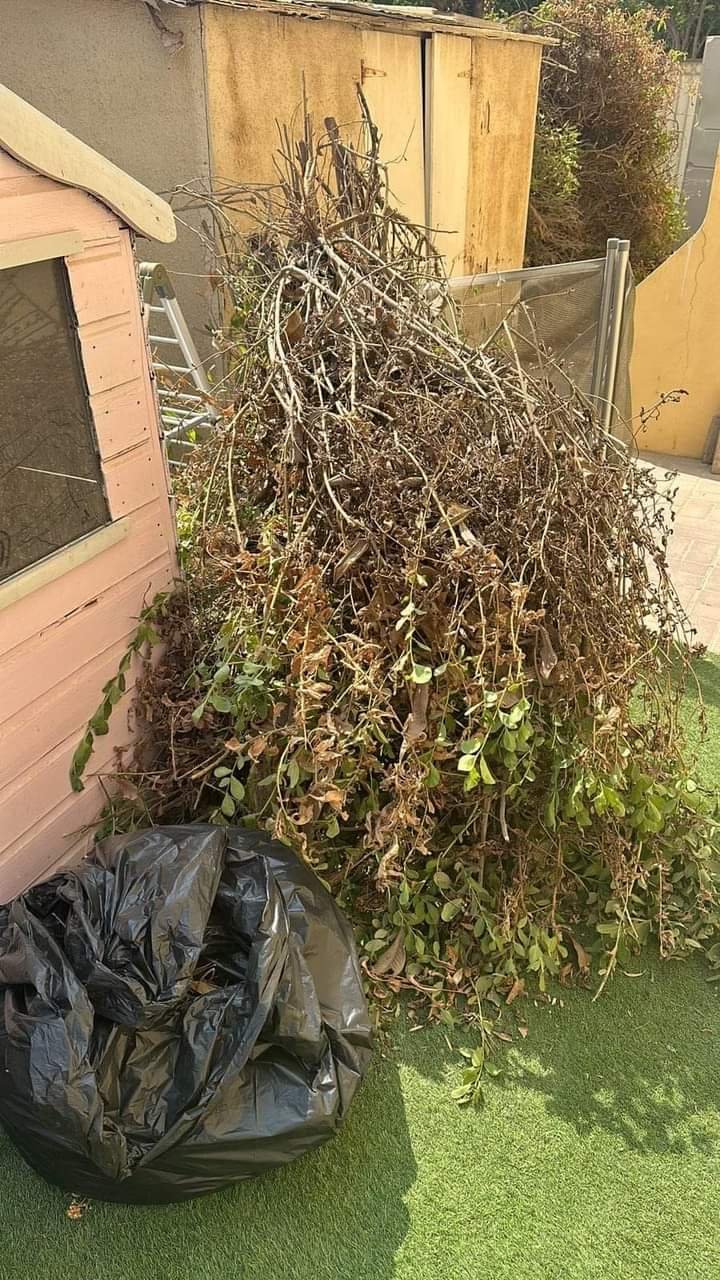 Junk Removal Service in Dubai UAE 055-9981753