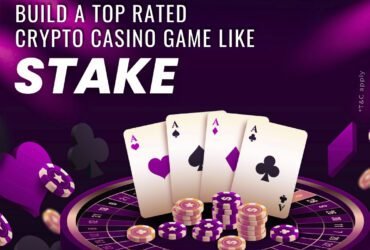Get Your Stake Clone Script and Enter the Crypto Casino Market