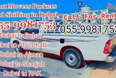 Movers and Packers in Dubai +971523820987