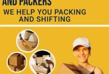 Packers and Movers Service in Dubai United Arab Emirates