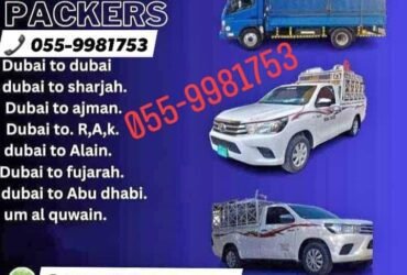 Movers and Packers in Dubai South +971523820987