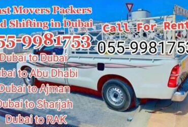 Movers and Packers Service in Dubai United Arab Emirates