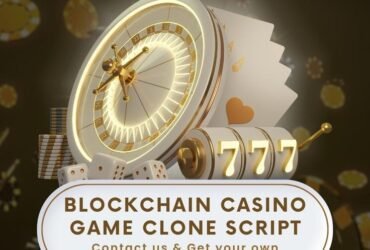 Top-Tier Blockchain Casino Game Clone software: A Crypto Gaming platform