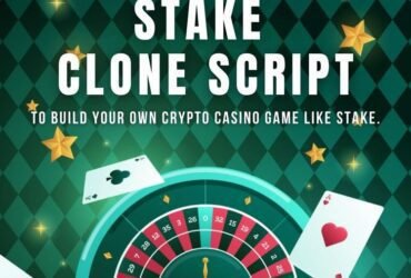 Ready-to-Launch Stake Clone script: Fast Track Your Casino Business