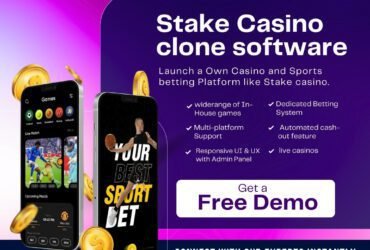 Stake Your Claim in Online Betting with Our Efficient stake Clone Script