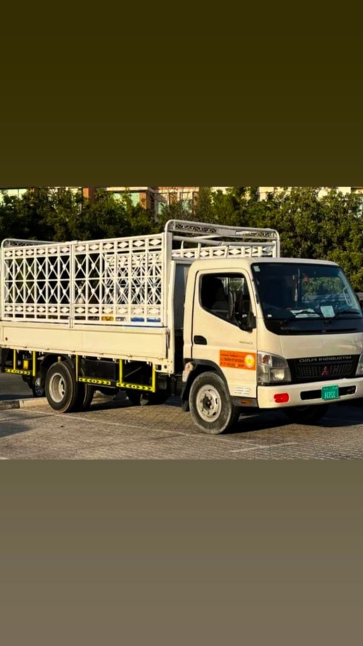 Movers Packers and Shifting in Dubai UAE +971523820987