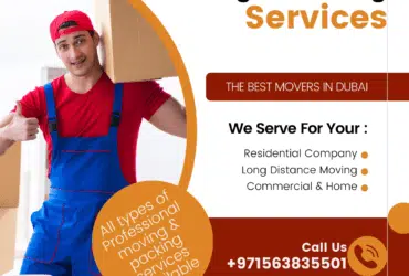 Movers and Packers in Dubai