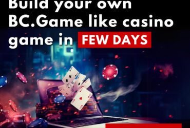 Ready to Start a Casino? BC.game Clone Script Awaits