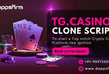 Tailored Casino Experience – TG.Casino Clone Customizable for Your Needs