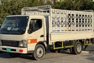 1 to 3Ton pickup truck for rent in Dubai UAE 055-3949841