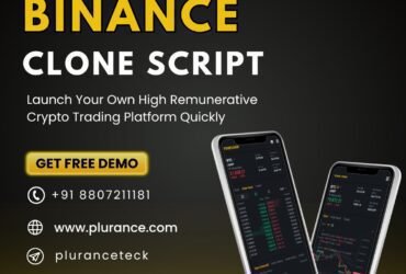 Make High Revenue By Using Binance Clone Script