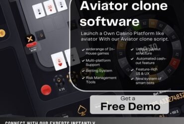 Aviator Clone Script  Launch Your Own Thrilling Casino Game Experience!