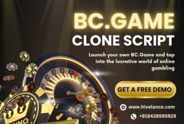 Build Your Own Thriving Online Gaming Business with Our BC.Game Clone Script!