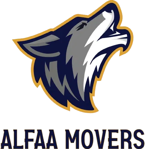 Movers And Packers In Business Bay Dubai – Alfaa Movers