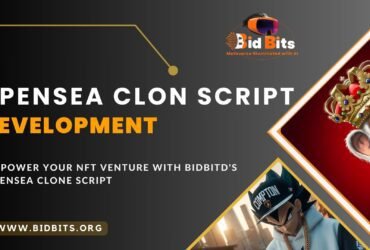 BidBits – OpenSea clone script company