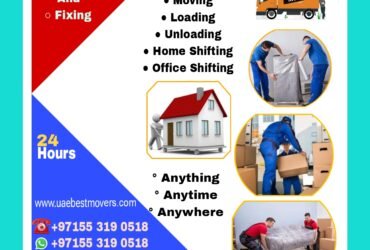 Best movers all uae