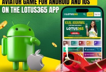 Lotus365 Aviator Game for Android and iOS