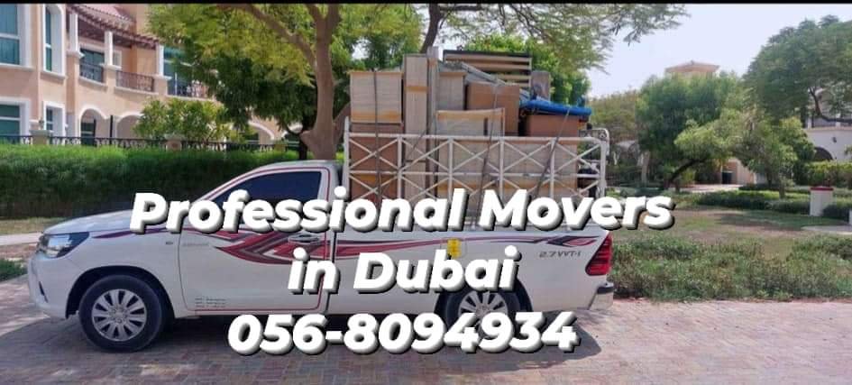 Professional Movers packers in Spring Meadows Dubai 0568094934