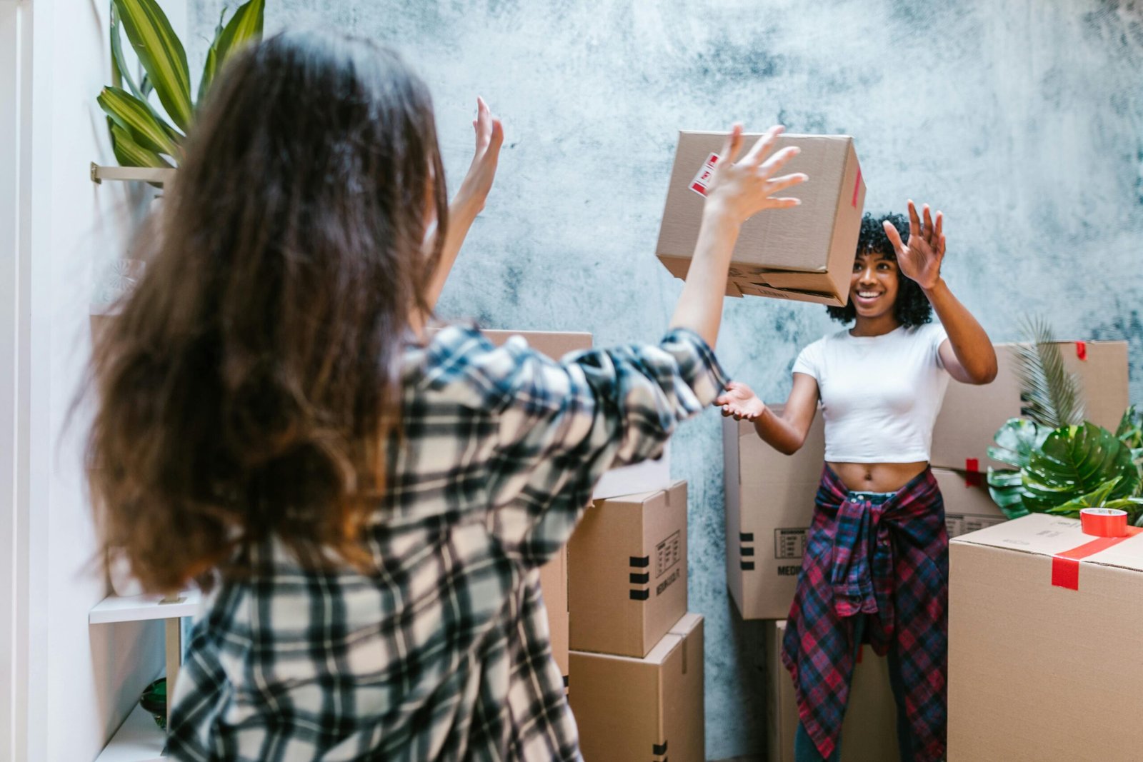 Movers Packers AL Aweer Dubai 0559972621