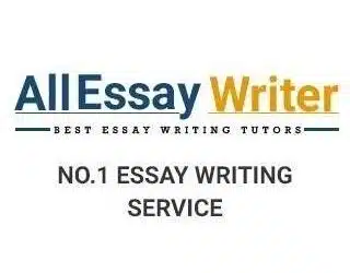 All Essay Writer