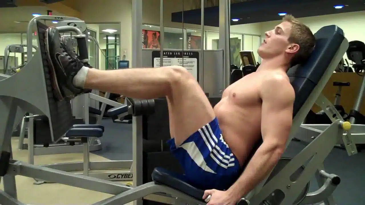 Used GYM Equipment Buyers Spring Dubai 0556949920